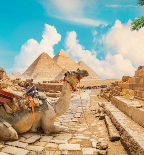 Affordable Egypt tour package featuring pyramids and classic sights
