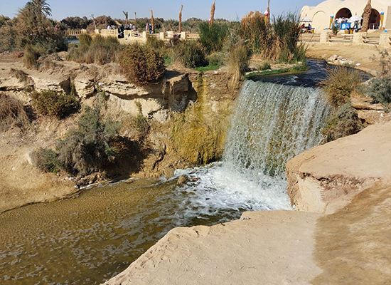 4x4 desert safari in Fayoum visiting Wadi El Hitan and Magic Lake