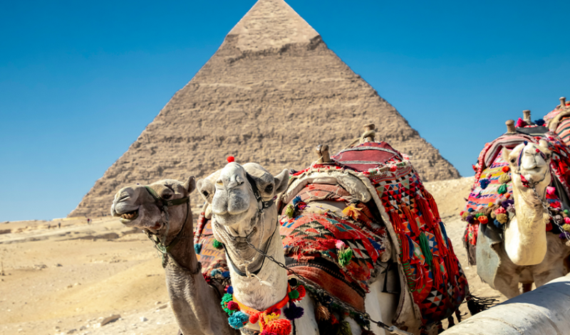 Family visiting the Grand Egyptian Museum in Giza including the interactive Children’s Museum