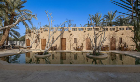 Wide view of Siwa oasis farms with palm groves and olive trees