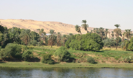 Wide view of the Nile and Kitchener’s Island botanical gardens near Aswan