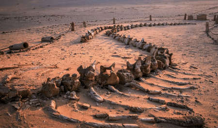 Fayoum Oasis day tour landscape near Lake Qaroun