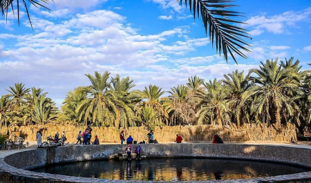 Cleopatra’s Spring natural pool surrounded by palm trees in Siwa Oasis