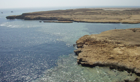 Coral reef and colorful fish in Ras Mohamed National Park near Sharm El Sheikh